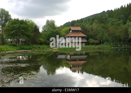 La riflessione nel lago Foto Stock