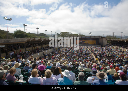 PETE SEGER preforme al 2009 MONTEREY JAZZ FESTIVAL - California Foto Stock