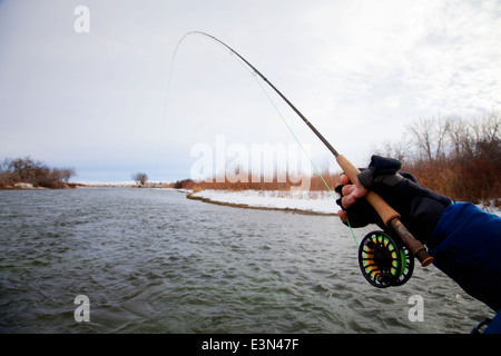 Pesca alla trota sul fiume Bighorn nel Montana, USA Foto Stock