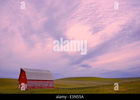 Bellissimo paese di scena di America's Heartland, la regione agricola della Palouse nello Stato di Washington e Idaho. Foto Stock