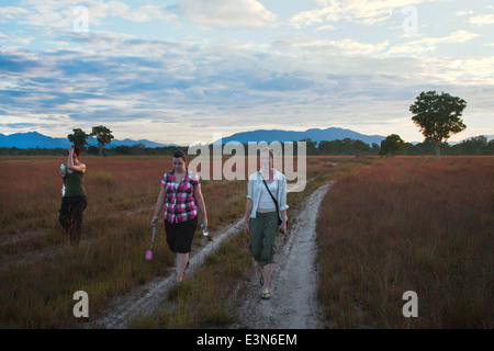 I turisti all'alba nella savana unico ecosistema di KOH PHRA THONG ISOLA, Thailandia Foto Stock