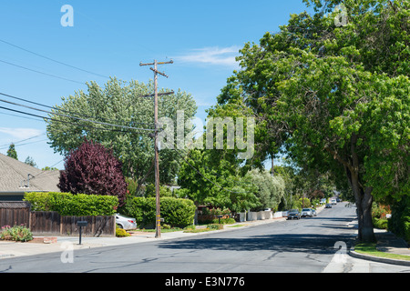 Una strada tranquilla in Atherton, California Foto Stock