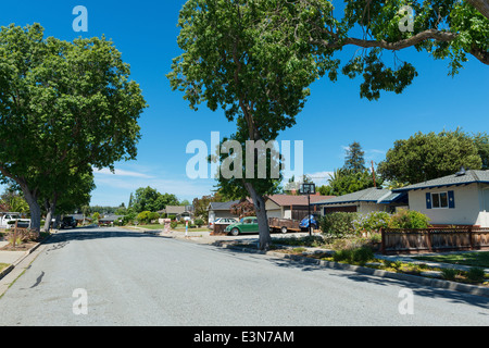 Una strada tranquilla in Atherton, California Foto Stock