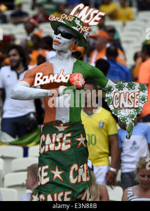 Fortaleza Brasile. Il 24 giugno 2014. Costa d'Avorio la ventola pone prima di un gruppo C match tra la Grecia e la Costa d'Avorio del 2014 FIFA World Cup al Estadio Castelao Stadium di Fortaleza, Brasile, 24 giugno 2014. © Yang Lei/Xinhua/Alamy Live News Foto Stock