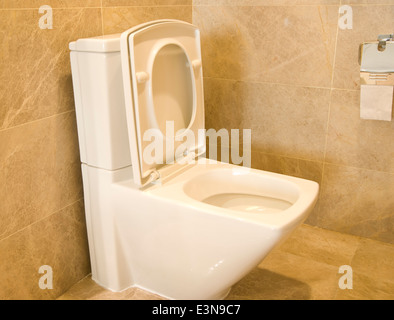 Closestool e tessuto in un bagno Foto Stock