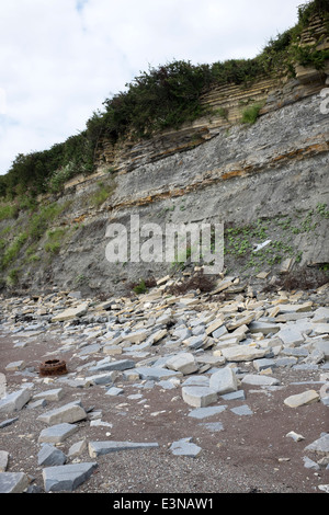 Roccia erosione sulla spiaggia a Penarth Galles del Sud Foto Stock