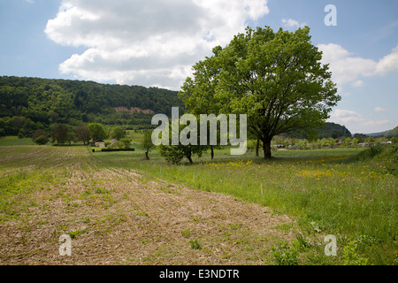 Paesaggio agricolo nei pressi di Ornans, Franche-Comté, Doubs, Francia Foto Stock