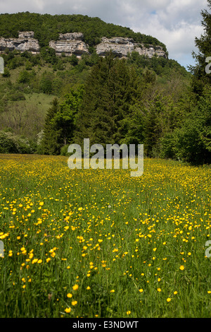 Paesaggio agricolo nei pressi di Ornans, Franche-Comté, Doubs, Francia Foto Stock