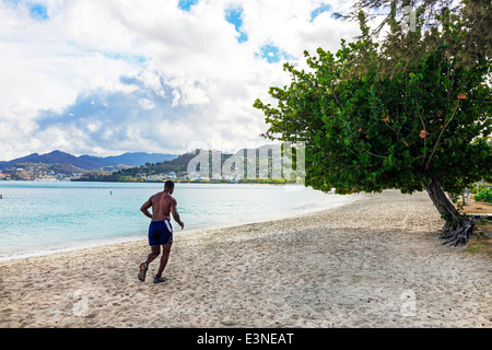 Uomo che corre sul Grand Anse Beach, St George, Grenada, West Indies, la mattina presto. Foto Stock