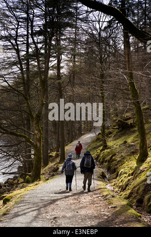 Regno Unito, Cumbria, Lake District, Buttermere, walkers sul sentiero lungolago attraverso Burtness legno Foto Stock