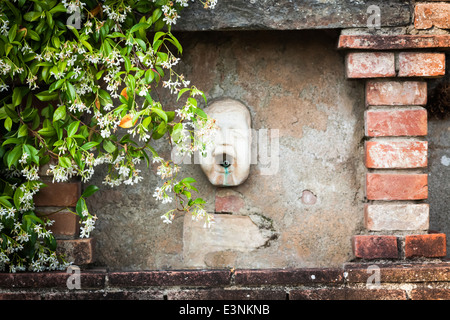 Gargoyle nel recesso di edera presso la villa di Santa Colomba, Siena, Toscana, Italia, Toscana Foto Stock