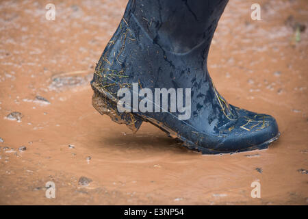 Stivali in gomma sono visti a piedi attraverso i campi fangosi di azienda agricola degna durante il 2014 Festival di Glastonbury nel Somerset, Giugno 2014. Foto Stock