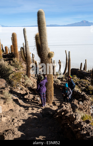 Isola di pesce (Isla del Pescado). Salar de Uyuni. Bolivia Foto Stock