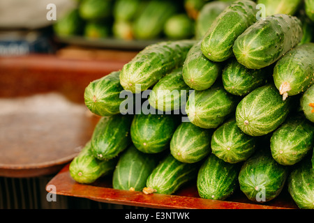 Il cetriolo. I cetrioli. In crescita i cetrioli organici. Pila di Ripe Cetrioli all'esterno sul mercato Foto Stock