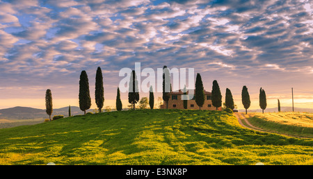 Podere I Cipressini con i famosi cipressi nel cuore della Toscana vicino a Pienza, Italia Foto Stock