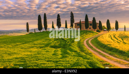 Podere I Cipressini con i famosi cipressi nel cuore della Toscana vicino a Pienza, Italia Foto Stock