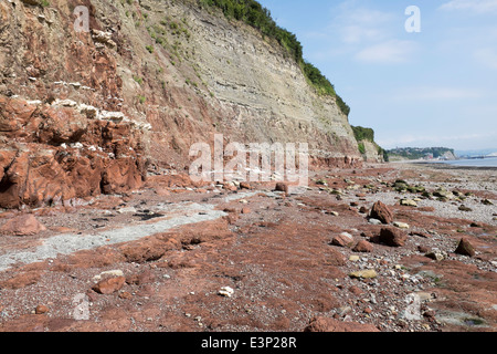 Scogliera che mostra dettagli geologica lungo la costa a Penarth nel Galles del Sud Foto Stock