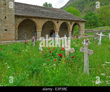 Santa Eulalia d'Erill la Vall, Vall de Boi. Incolto cimitero pieno di fiori selvatici è tipica delle chiese in questa regione. Foto Stock