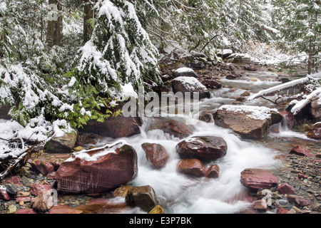 Inizio inverno neve in valanga Creek nel Parco Nazionale di Glacier, Montana, USA Foto Stock