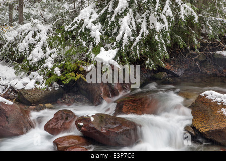 Inizio inverno neve in valanga Creek nel Parco Nazionale di Glacier, Montana, USA Foto Stock