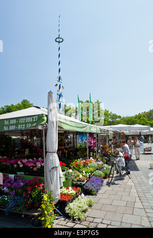 Monaco di Baviera, Viktualienmarkt cibo e il mercato dei fiori si erge - Monaco di Baviera, Germania, Europa Foto Stock