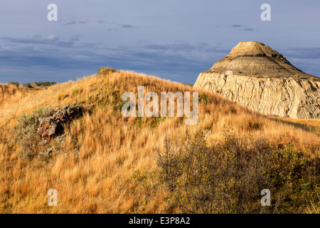 Poco bluestem erbe in autunno colori nel Parco nazionale Theodore Roosevelt, il Dakota del Nord, STATI UNITI D'AMERICA Foto Stock