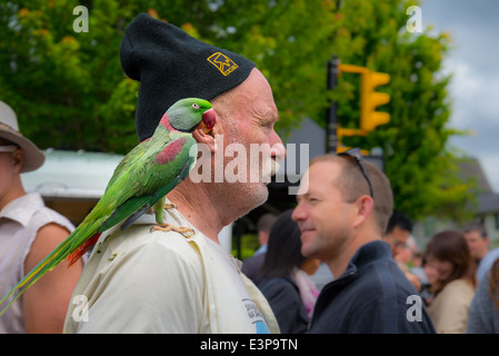 Uomo con il pappagallo sulla spalla Foto stock - Alamy