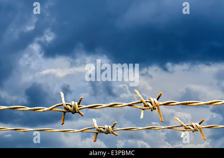 I trefoli del filo dentellato isolato su clound pioggia Foto Stock