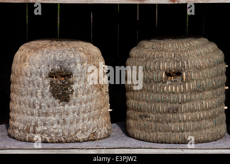 Tradional alveari (skeps) realizzato dalla paglia. Lueneburg Heath, Bassa Sassonia, Germania Foto Stock