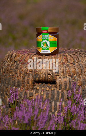 Tradional alveari (skeps) realizzato dalla paglia con un bicchiere di miele. Lueneburg Heath, Bassa Sassonia, Germania Foto Stock