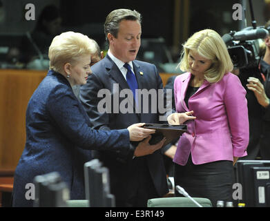 Bruxelles, Belgio. Il 27 giugno, 2014. Il Presidente lituano Dalia Grybauskaite (L), il Primo Ministro britannico David Cameron (C) e il Primo Ministro danese Helle THORNING-SCHMIDT parlare prima di iniziare una sessione di lavoro durante la seconda giornata del Vertice UE presso la sua sede a Bruxelles in Belgio, 27 giugno 2014. © Ye Pingfan/Xinhua/Alamy Live News Foto Stock