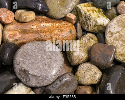 Wet, lucido, multicolore, round spiaggia ciottoli, Scotland, Regno Unito Foto Stock