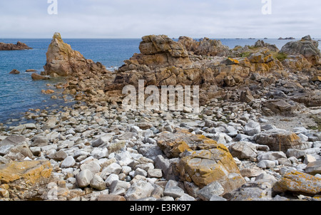 Scenario estivo presso la costa di Granito Rosa in Bretagna, Francia Foto Stock