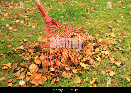 Rastrellare foglie da giardino d'autunno Foto Stock