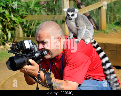 ZSL Whipsnade Zoo annuale di pesa 27 Ago 2013 Foto Stock