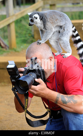 ZSL Whipsnade Zoo annuale di pesa 27 Ago 2013 Foto Stock