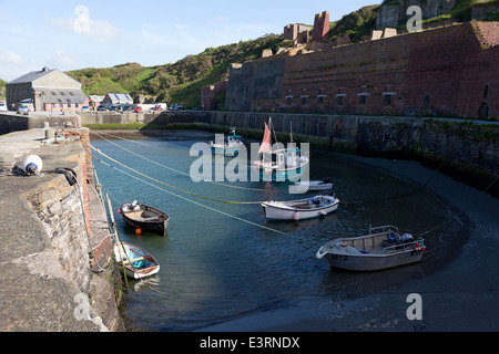 Il porto, Porthgain, Pembrokeshire Foto Stock