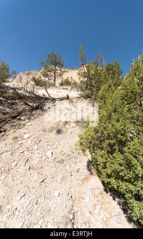 Una vista della montagna formazioni di roccia a tenda Kasha-Katuwe Rocks National Monument, Nuovo Messico, Stati Uniti d'America. Foto Stock