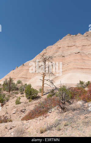 Una vista della montagna formazioni di roccia a tenda Kasha-Katuwe Rocks National Monument, Nuovo Messico, Stati Uniti d'America. Foto Stock