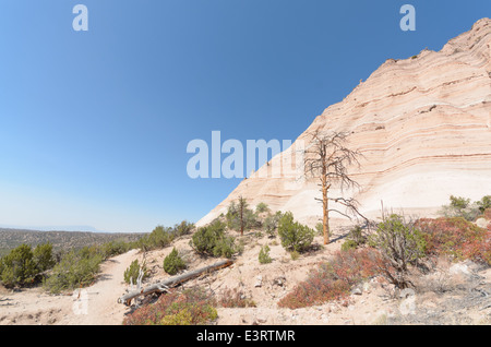 Una vista della montagna formazioni di roccia a tenda Kasha-Katuwe Rocks National Monument, Nuovo Messico, Stati Uniti d'America. Foto Stock