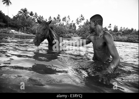 BAHIA, Brasile - MARZO 12, 2014: Brasiliano cavallo prende a nuotare nel fiume con il suo proprietario sulla spiaggia remota in Nordeste Bahia. Foto Stock