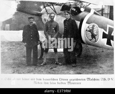Questa fotografia della collezione di Lou Larson raffigura un aereo dell'era della prima guerra mondiale, che fornisce informazioni sulla tecnologia aeronautica e sui design dell'epoca. L'immagine rappresenta i primi anni dell'aviazione militare durante la grande Guerra. Foto Stock