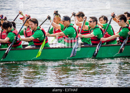 Londra, Regno Unito. Il 29 giugno, 2014. Londra Hong Kong Dragon Boat Festival 2014 Credit: Guy Corbishley/Alamy Live News Foto Stock