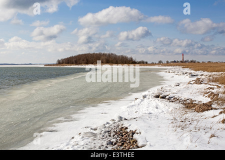 Congelati del Mar Baltico, Fehmarn, Germania, Europa Foto Stock