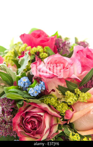 Primo piano di rose rosa su sfondo bianco fiori freschi. Il fuoco selettivo Foto Stock