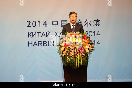 Harbin, la Cina della Provincia di Heilongjiang. Il 29 giugno, 2014. Chinese Vice Premier Wang Yang risolve la cerimonia di apertura del primo China-Russia Expo di Harbin, capitale del nord-est della Cina di Provincia di Heilongjiang, 29 giugno 2014. © Wang Jianwei/Xinhua/Alamy Live News Foto Stock