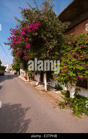 Scena di strada del tradizionale villaggio cretese di Panormo Foto Stock