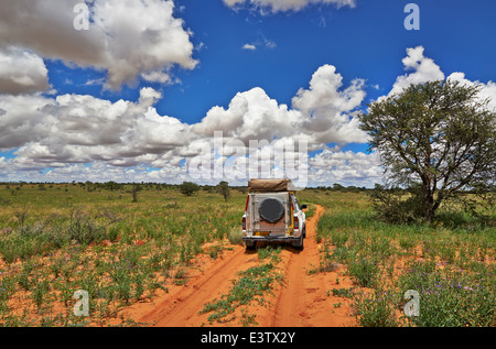 4x4 auto nel paesaggio di Kgalagadi Parco transfrontaliero, il Kalahari, Sud Africa, Botswana, Africa Foto Stock