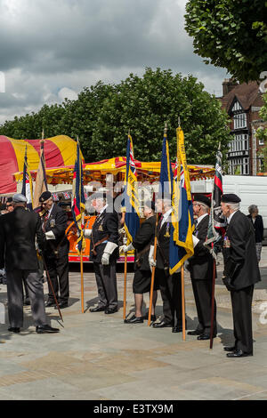 Salisbury, Regno Unito. Il 29 giugno, 2014. Forze armate giorno in Salisbury. Forze armate giorno 2014 eventi saranno organizzati in tutto il paese. Credito: Paul Chambers/Alamy Live News Foto Stock