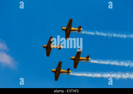 Waterloo, Ontario, Canada. Il 27 giugno, 2014. Canadian Harvard traning aeromobili, Giugno 28 2014 Regione di Waterloo Ontario Canada. Sesta annuale Waterloo Air Show.Regione di Waterloo International Airport. Credit: prestazioni di immagine/Alamy Live News Foto Stock